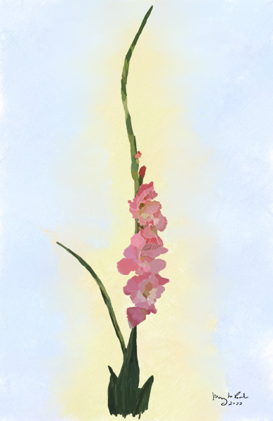 Gladiolas