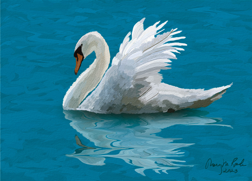 white swan on a lake