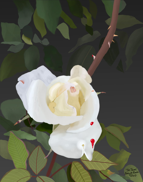 white rose with a thorn stem behind it, small blood drip from thorn onto petal 