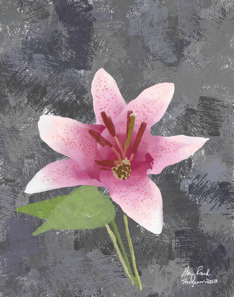 oil painting of a stargazer lily