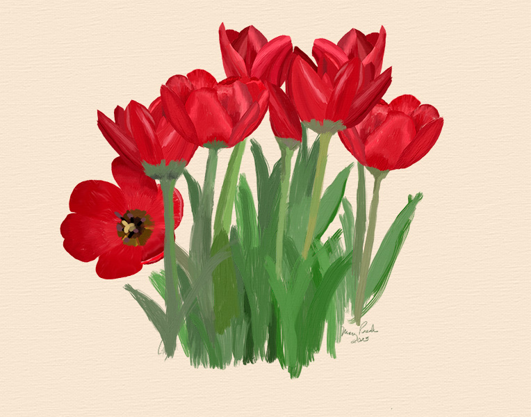 oil painting of red tulips which are still planted, not cut yet