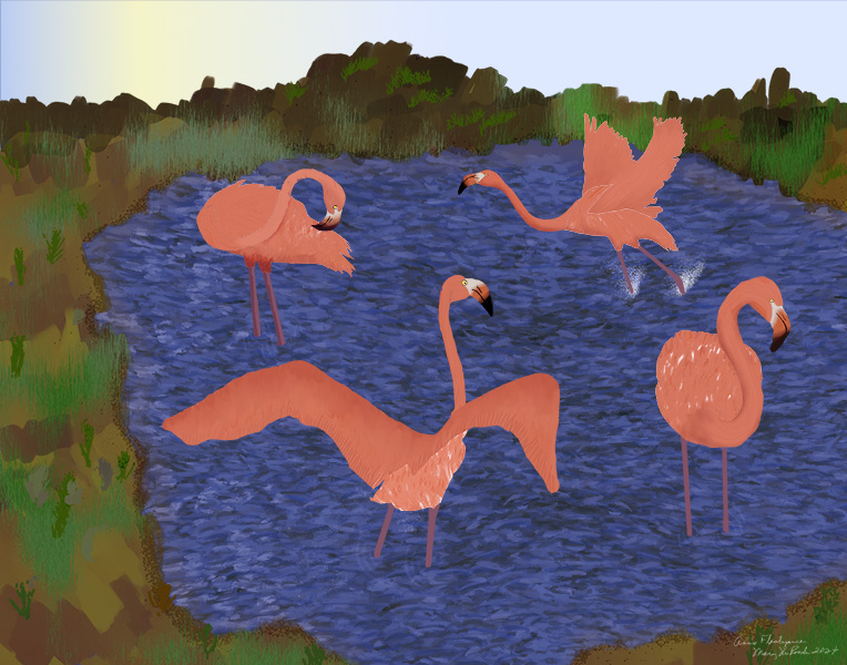 Ann's Flamboyance, 4 flamingos cavorting in the pond created by the bend of a creek.