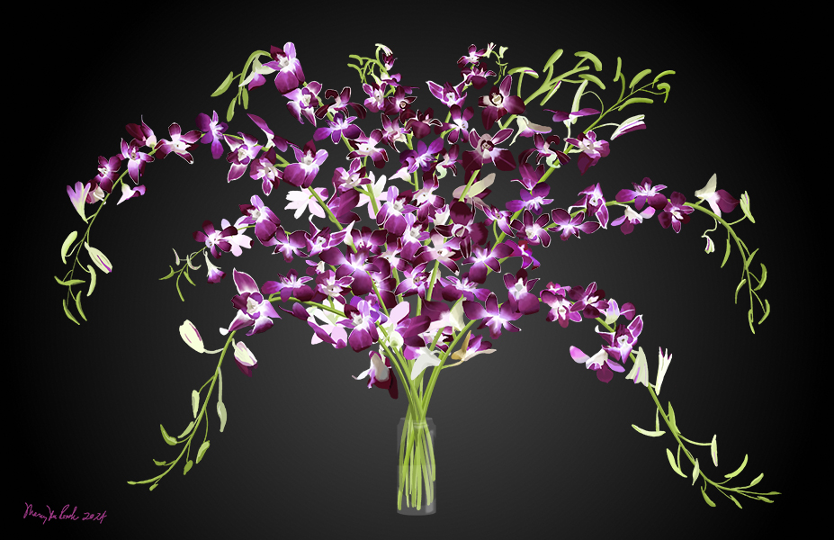 Dendrobium, a spray of 10 stems of Dendrobium orchids.