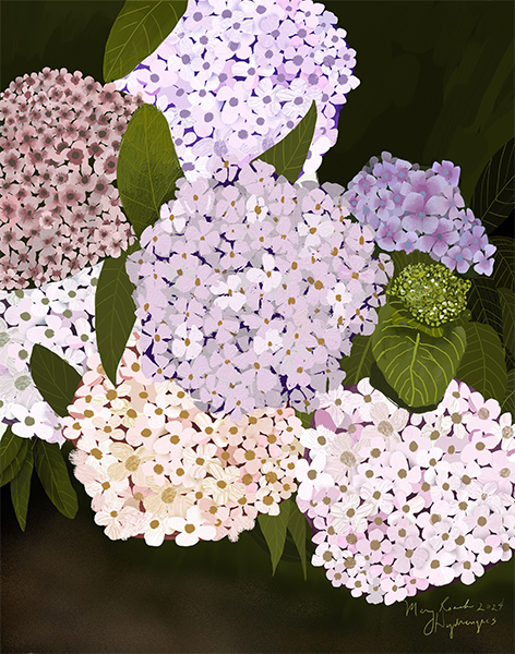 oil painting of hydrangea bush with lots of impasto